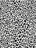 leopard black&white - ribtricot