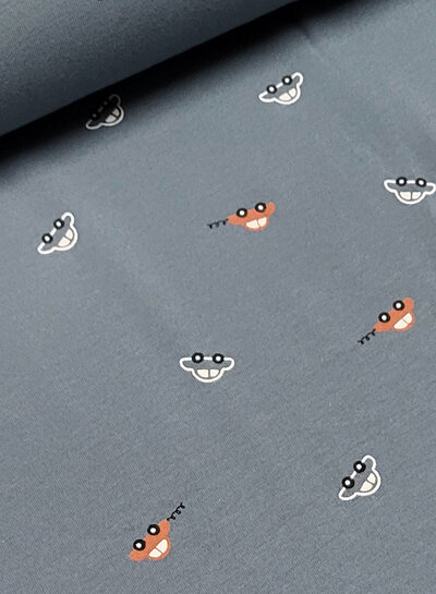 cars indigo - jersey