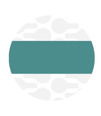 ZipperZoo Seaspray Teal - tassenband pak van 1,5 meter