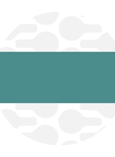 ZipperZoo Seaspray Teal - Bag strap pack of 1.5 meters