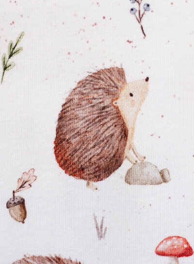hedgehogs - soft jersey