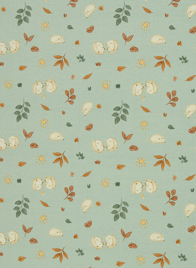 Swafing hedgehogs - zachte tricot