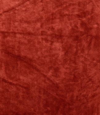 Madeline roest - velvet sweater - ideaal voor homewear