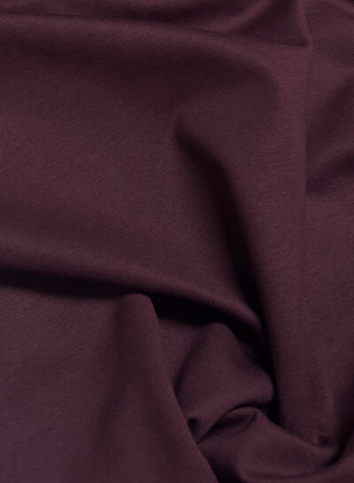 aubergine punta di Roma - prachtige vormvaste kwaliteit