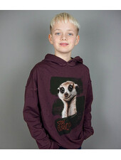 THORSTEN BERGER Stay Curious - French terry panel of 85 cm by 150 cm