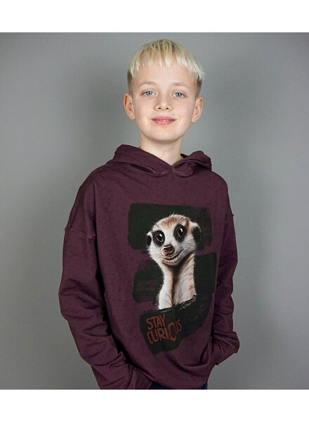 THORSTEN BERGER Stay Curious - french terry paneel van 85 cm op 150 cm