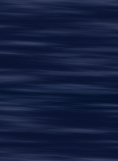 THORSTEN BERGER ALLOVER - Rodulph on the scooter - blue - French terry