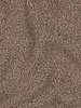 taupe teddy boucle double face with fleece