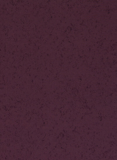 THORSTEN BERGER Bijpassende french terry bij paneel Stay Curious