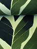 Swafing green leaves - modal french terry