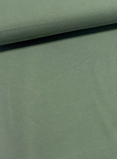 balsemgroen - punta di Roma - prachtige vormvaste kwaliteit