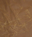 ripstop waxed canvas / oilskin  cognac
