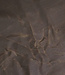 ripstop waxed canvas / oilskin donkerbruin