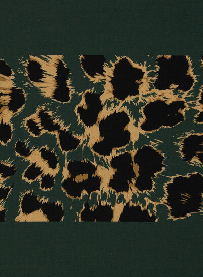 Leo green sweater package