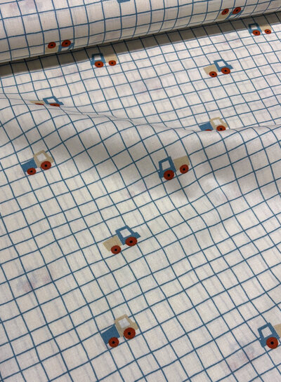 miniature truck - prachtig katoentje