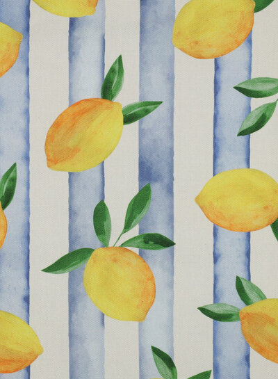 stripes and lemons - soft canvas