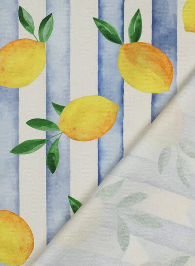 stripes and lemons - soft canvas