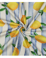 stripes and lemons  - soepele canvas