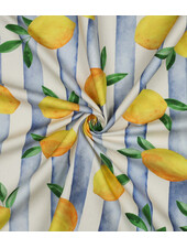 stripes and lemons  - soepele canvas