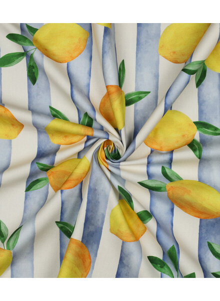 stripes and lemons  - soepele canvas