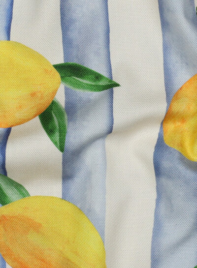 stripes and lemons - soft canvas