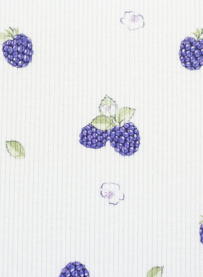 blackberry rib knit - tricot