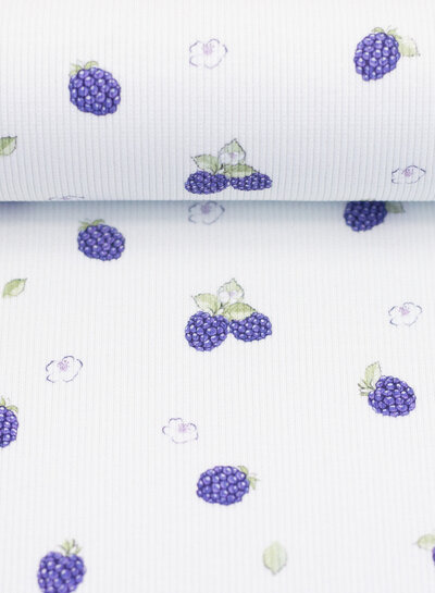blackberry rib knit - jersey