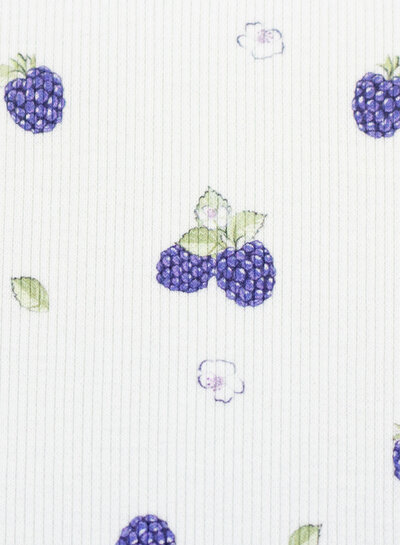 blackberry rib knit - jersey