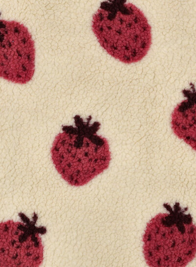 Madeline strawberries - sturdy teddy