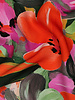 fuchsia oranje bloemen op groen - lenzing ecovero viscose