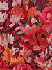 burgundy pink flowers - cotton voile
