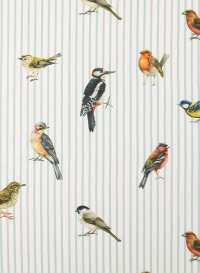 Vogels en streepjes - katoentje