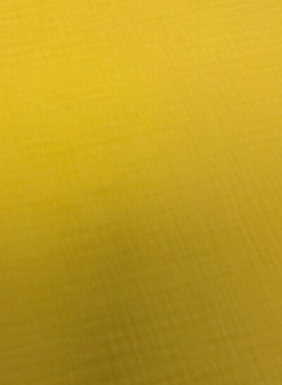 plain tetra - soft yellow