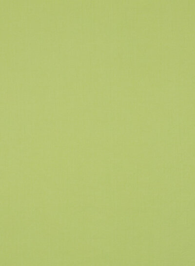 pickles stonewashed poplin cotton