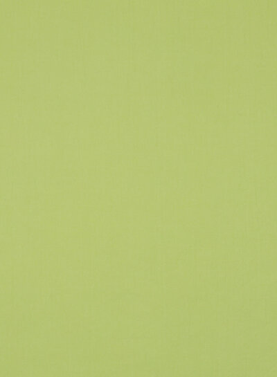 pickles stonewashed poplin cotton