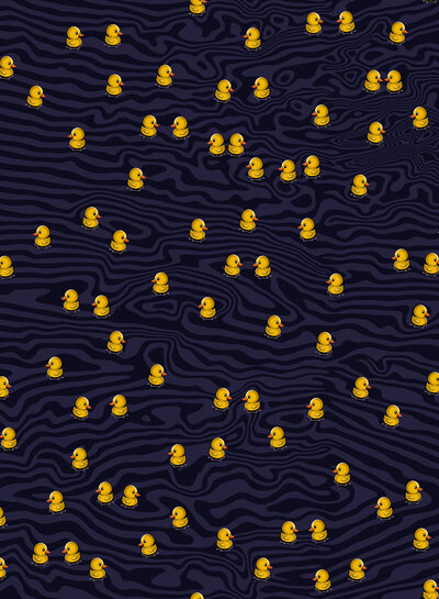 Swafing Ducks All Over - French Terry