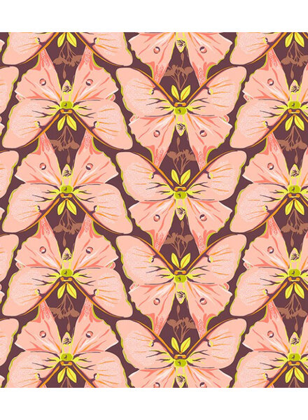 Windham Fabrics insectarium luna pink - cotton