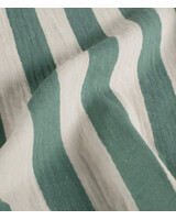 muntgroen brede strepen - tetra