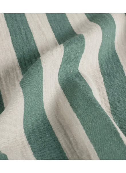 mint green broad stripes - tetra