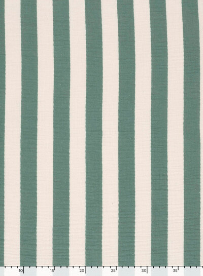 muntgroen brede strepen - tetra