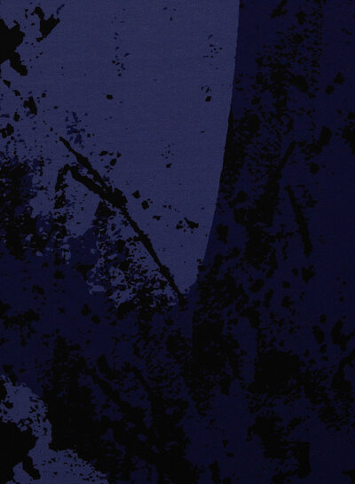 THORSTEN BERGER bijhorende french terry -  Chickeria paneel