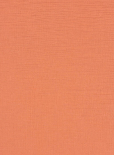 plain tetra peach