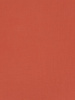 effen tetra - koraalrood