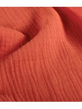 solid tetra - coral red