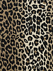 Poppy fabrics leopard - cotton twill light stretch
