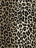 Poppy fabrics leopard - cotton twill light stretch