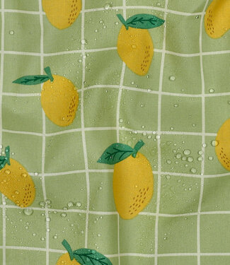 coated cotton / canvas lemon green