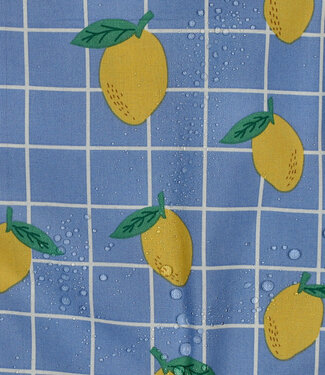 coated cotton / canvas lemons blue