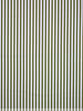 green striped - beautiful denim / twill gabardine