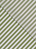 green striped - beautiful denim / twill gabardine